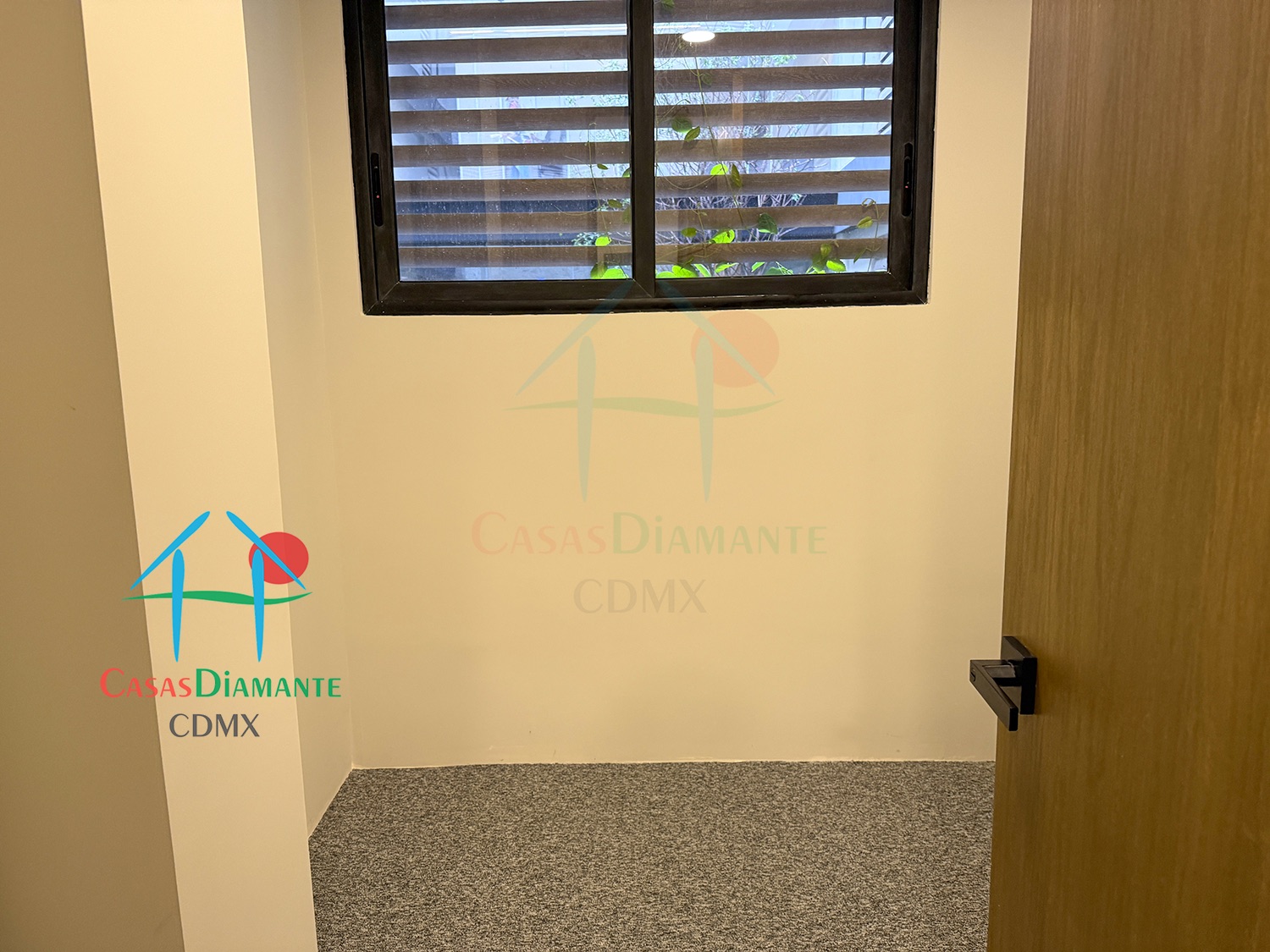 Desierto de los Leones Acanto AJA1 - Cuarto de servicio 1